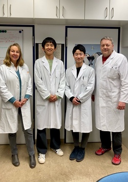 生命医科学研究科 医工学・医情報学専攻 中川達也さんらの研究成果が「Scientific Reports」に掲載されました。