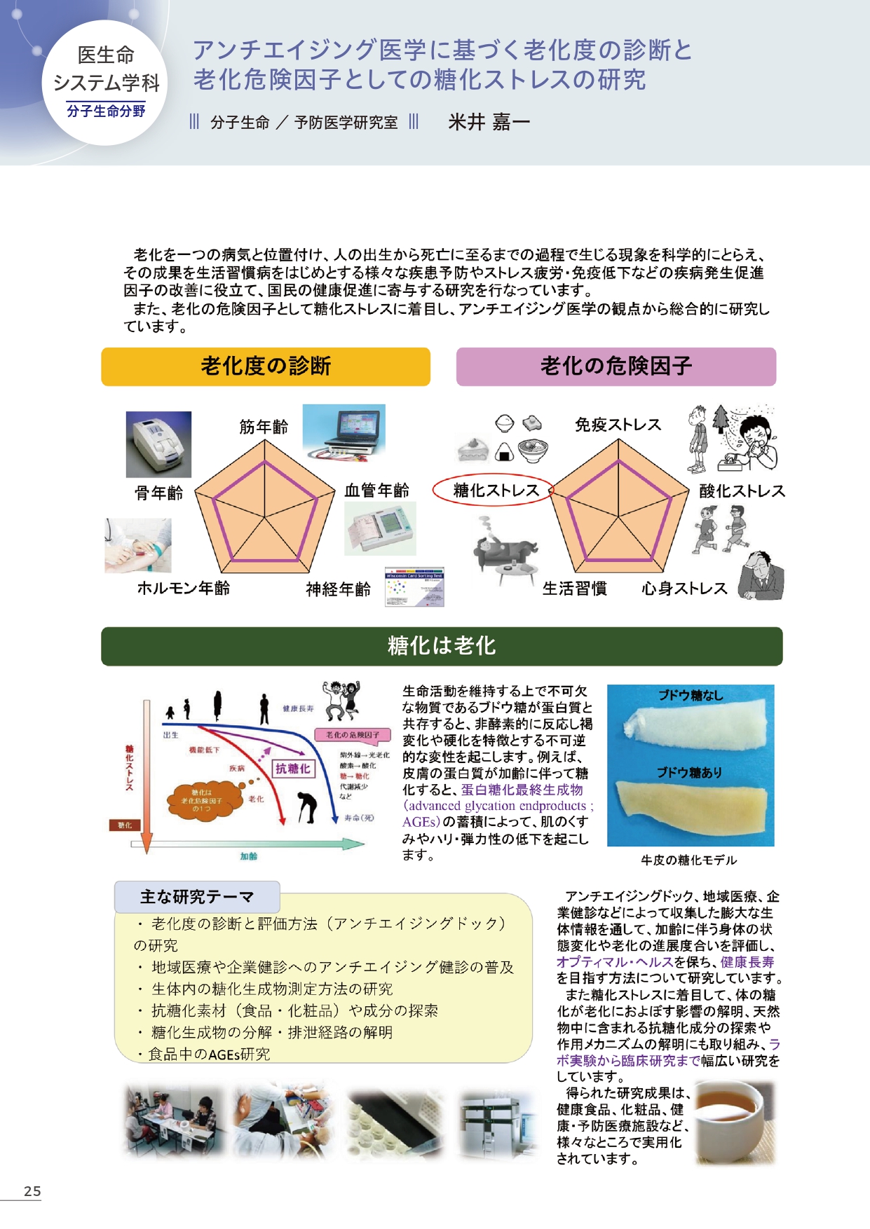 MolecularLifeSciences_Yonei (109867)