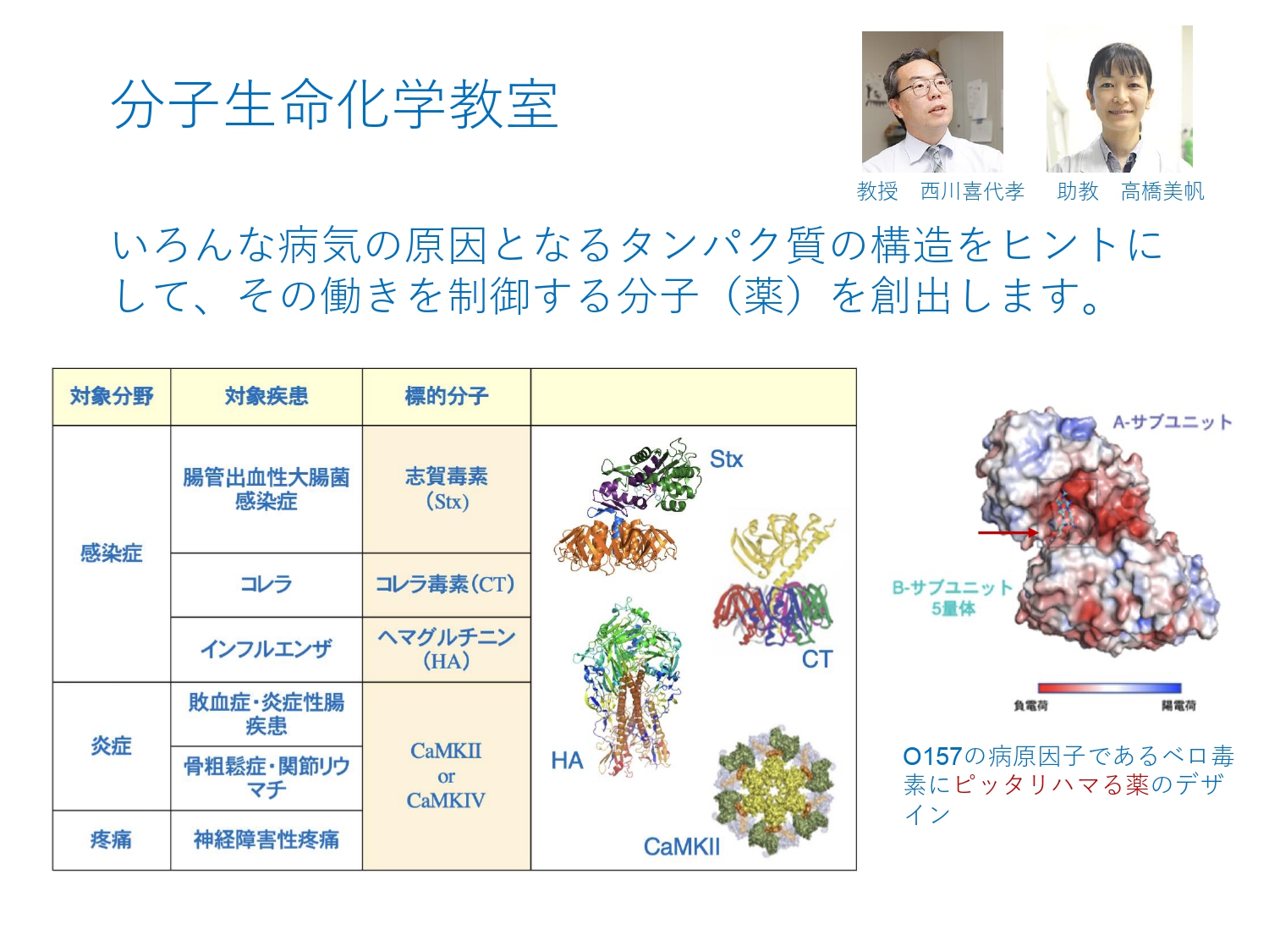 MolecularLifeSciences_NishikawaTakahashi (109868)