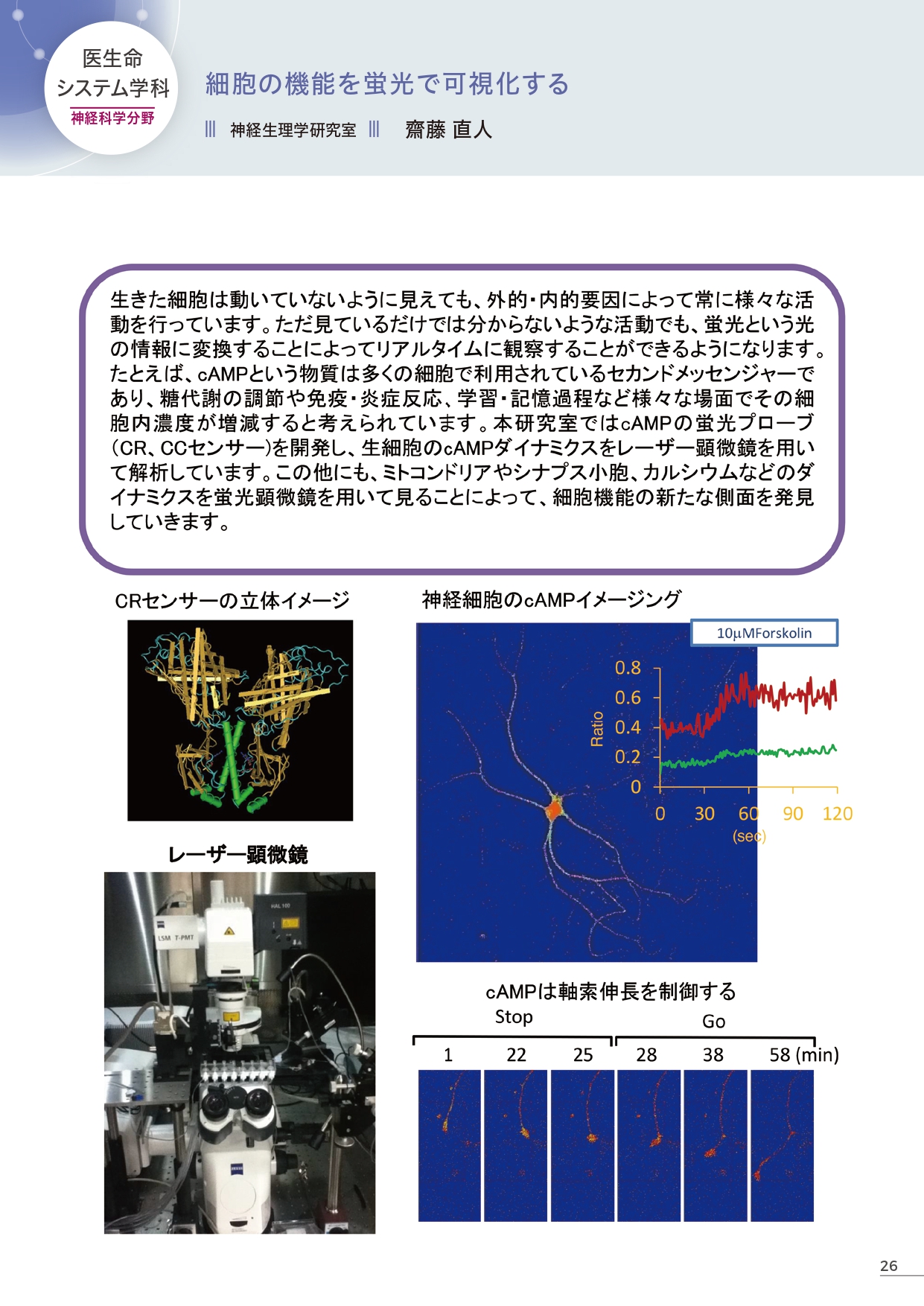 NeurosciencesNeurophysiologyLaboratory_Saito (109870)