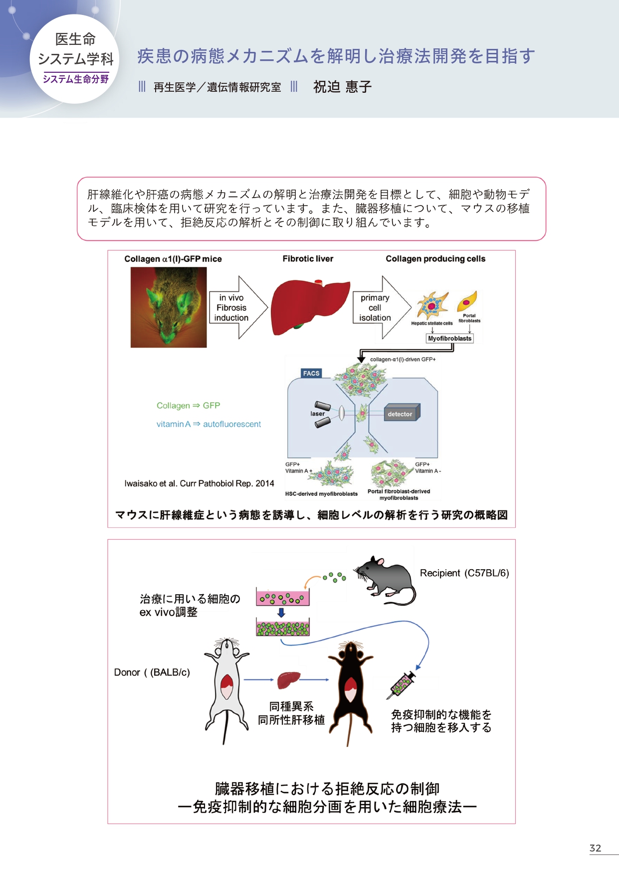 RegenerativeMedicineGeneticCodeLaboratory_Iwaisako (109874)