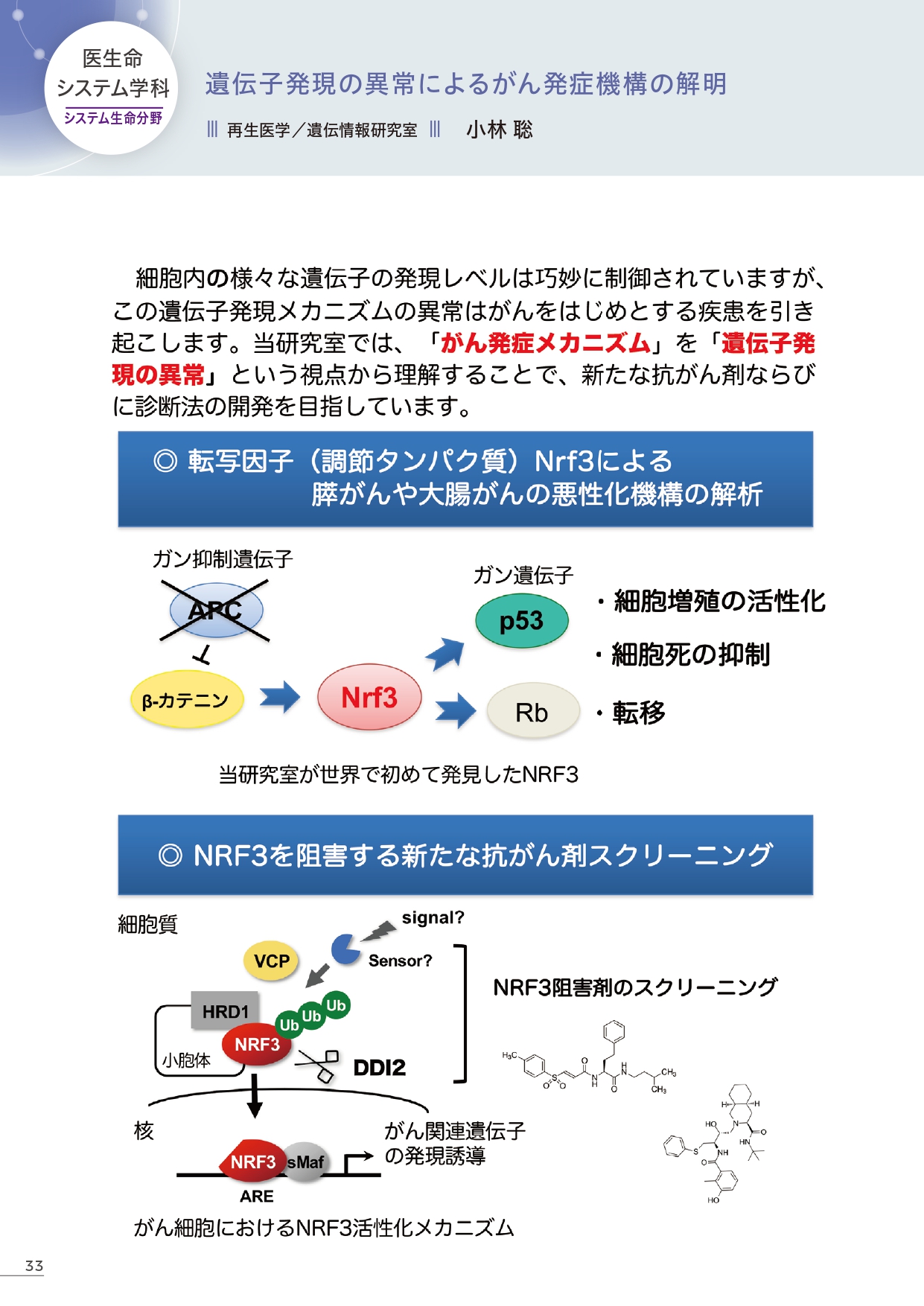 GeneticCodeLaboratory (109875)